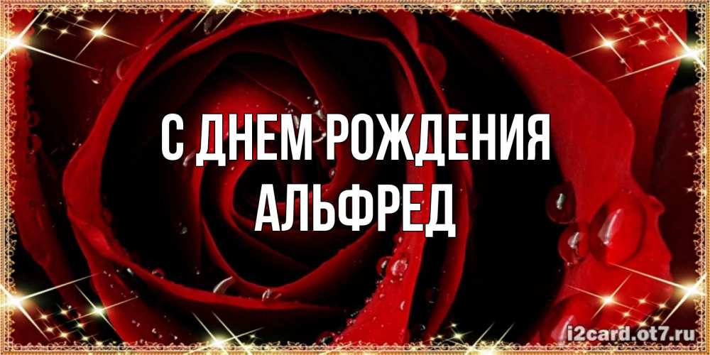 Открытка на каждый день с именем, Альфред С днем рождения цветок в росе на день рождения Прикольная открытка с пожеланием онлайн скачать бесплатно 