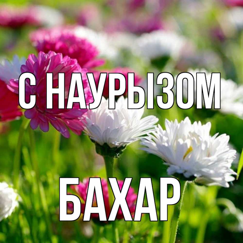 Картинка С наурызом, Бахар