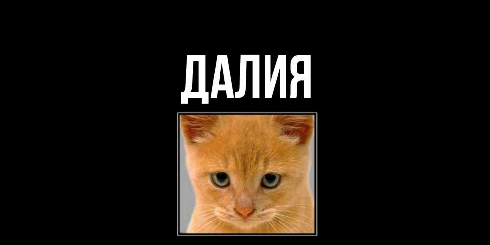 Картинка  с именем , Далия