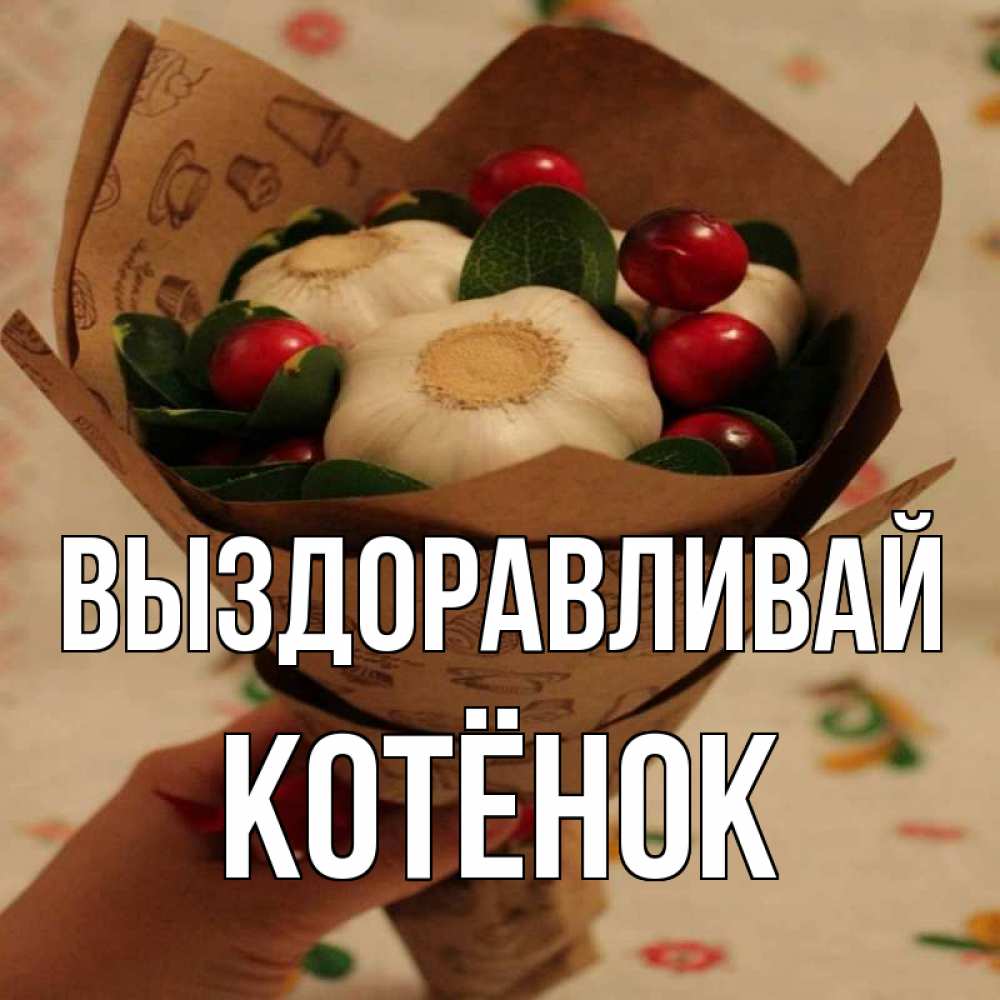 Выздоравливай котенок картинки