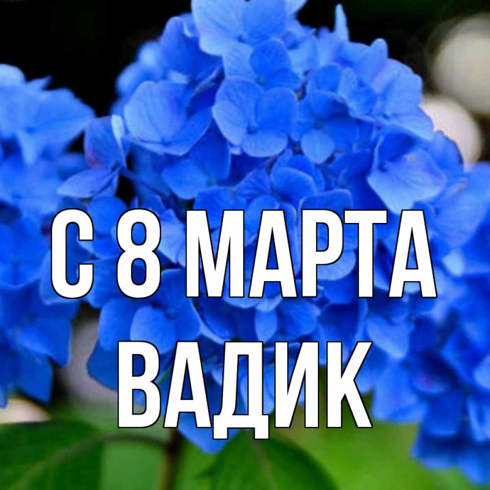 Открытка на каждый день с именем, Вадик С 8 МАРТА синие цветы Прикольная открытка с пожеланием онлайн скачать бесплатно 