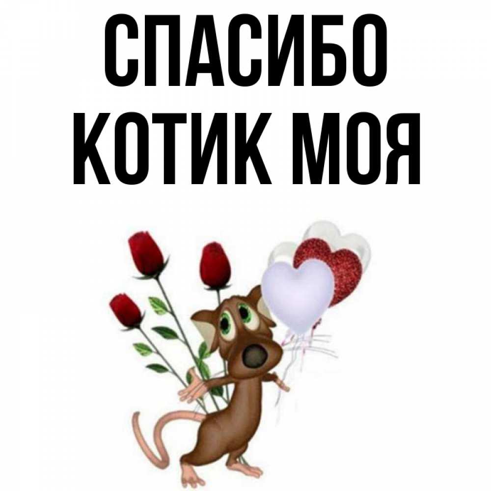 Спасибо котик