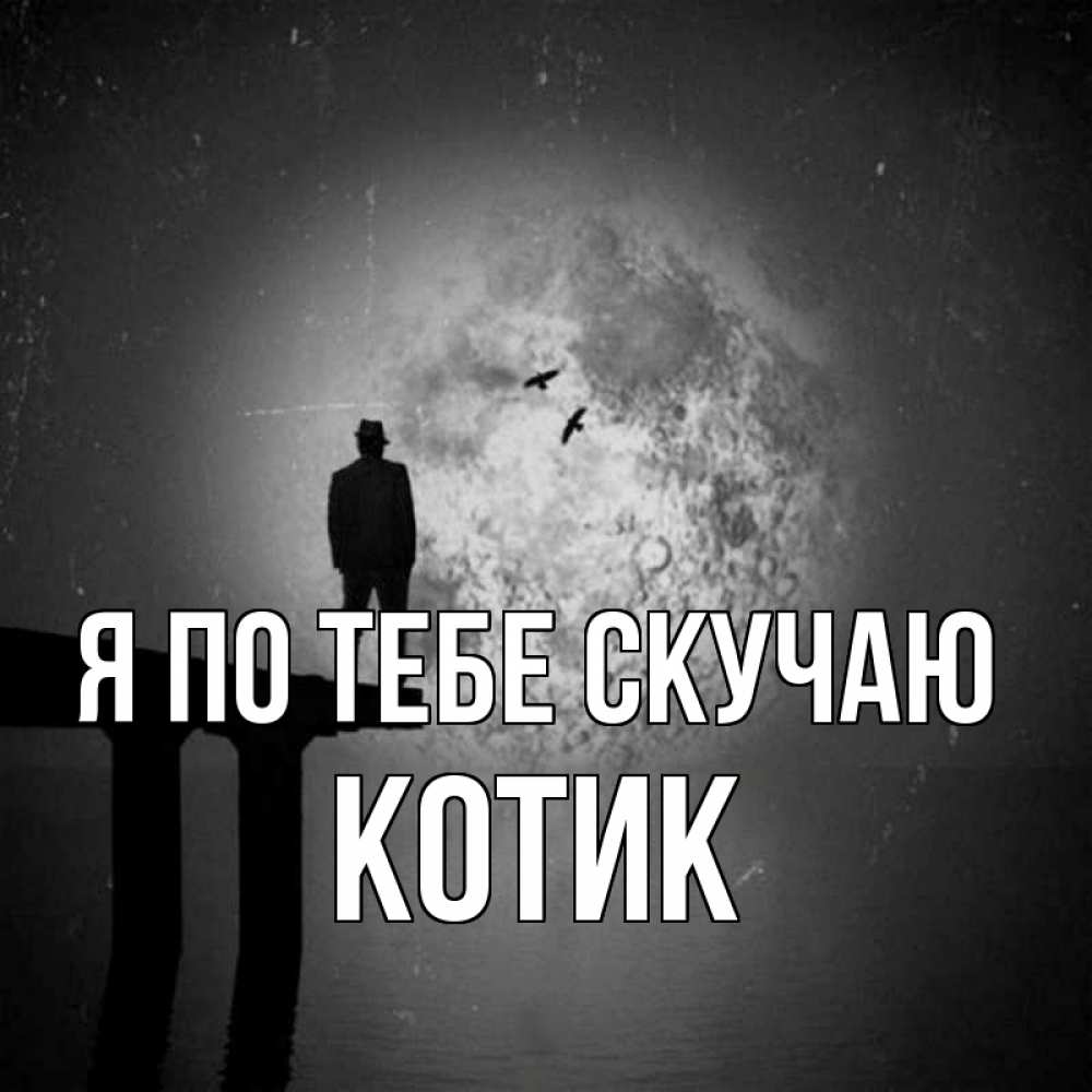 Открытка на каждый день с именем, Котик Я по тебе скучаю мост 1 Прикольная открытка с пожеланием онлайн скачать бесплатно 