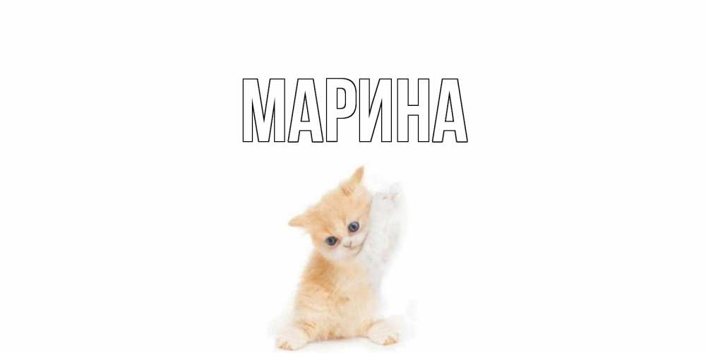 Открытка на каждый день с именем, Марина Главная кот Прикольная открытка с пожеланием онлайн скачать бесплатно 