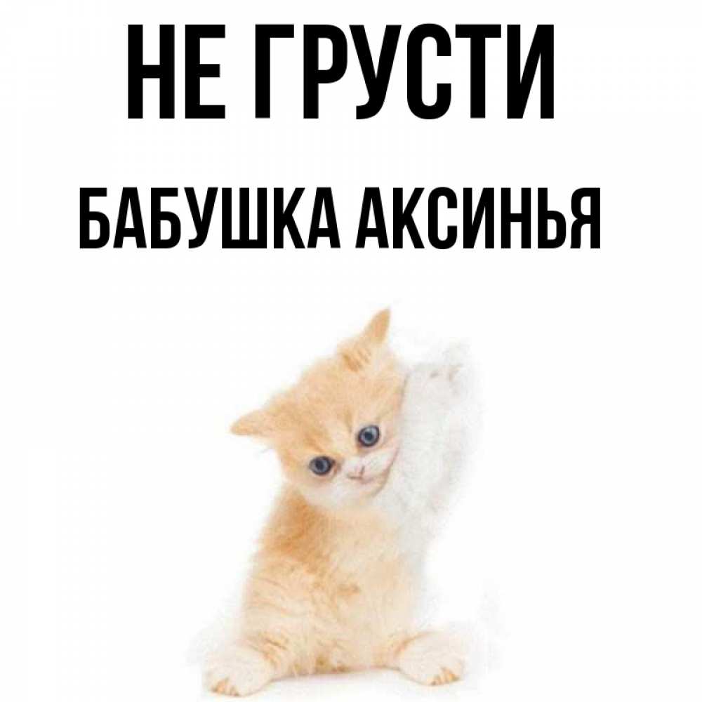 Открытка на каждый день с именем, Бабушка-Аксинья Не грусти просящий кот Прикольная открытка с пожеланием онлайн скачать бесплатно 