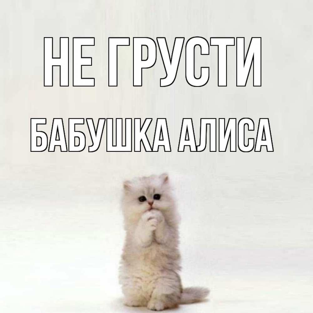 Открытка на каждый день с именем, Бабушка-Алиса Не грусти грустный кот Прикольная открытка с пожеланием онлайн скачать бесплатно 