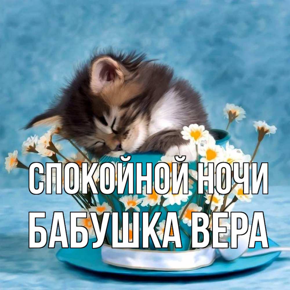 Открытка на каждый день с именем, Бабушка-Вера Спокойной ночи котенок спит в кружке с блюдцем Прикольная открытка с пожеланием онлайн скачать бесплатно 