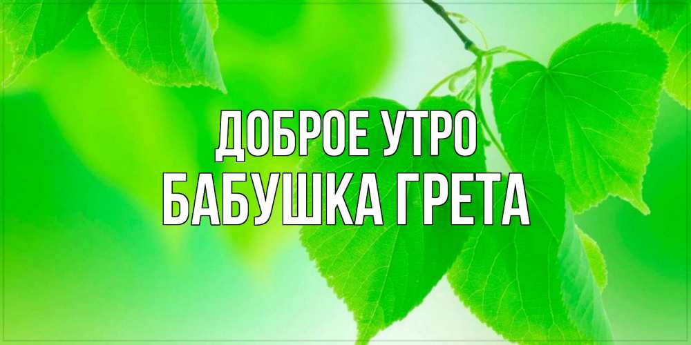 Открытка на каждый день с именем, Бабушка-Грета Доброе утро доброе утро с березовыми листьями Прикольная открытка с пожеланием онлайн скачать бесплатно 