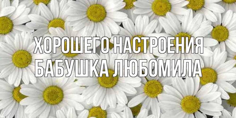 Открытка на каждый день с именем, Бабушка-Любомила Хорошего настроения поляна ромашек Прикольная открытка с пожеланием онлайн скачать бесплатно 