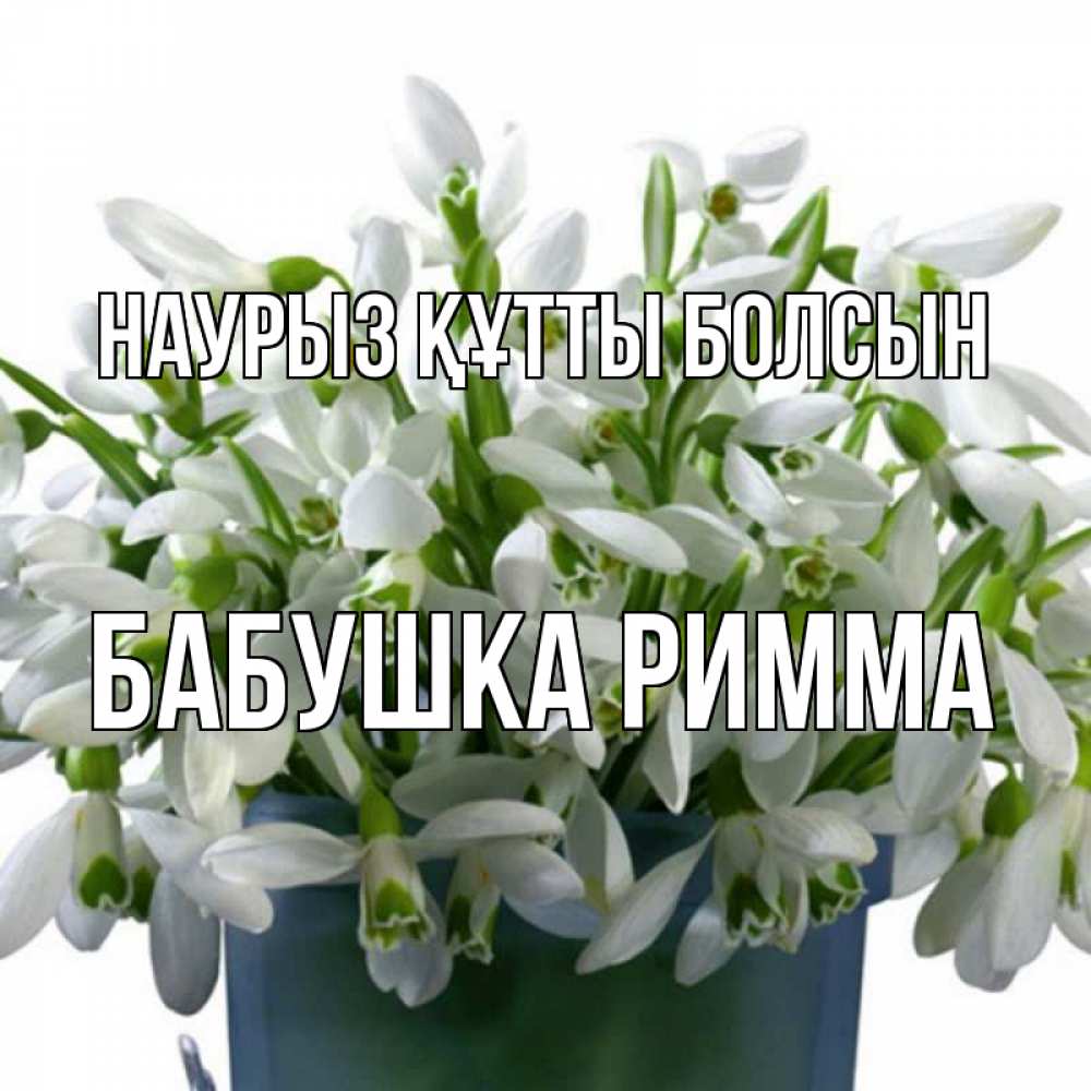 Открытка на каждый день с именем, Бабушка-Римма Наурыз құтты болсын цветы к наурызу Прикольная открытка с пожеланием онлайн скачать бесплатно 