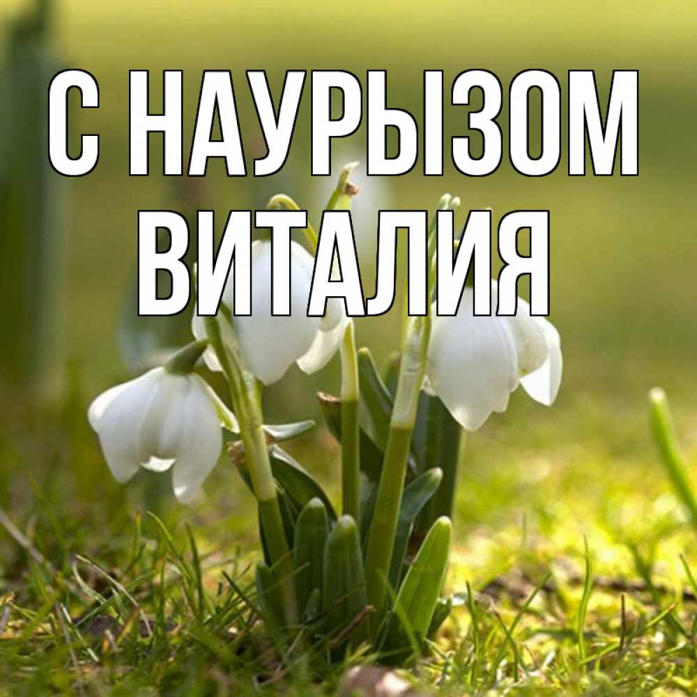 Открытка на каждый день с именем, Виталия С наурызом ранние цветы 2 Прикольная открытка с пожеланием онлайн скачать бесплатно 