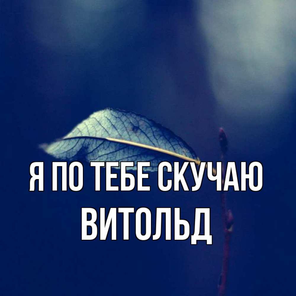 Открытка на каждый день с именем, Витольд Я по тебе скучаю одна ветка 1 Прикольная открытка с пожеланием онлайн скачать бесплатно 