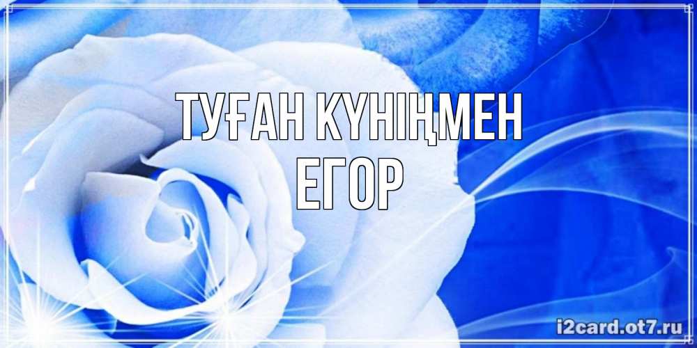 Открытка на каждый день с именем, Егор Туған күніңмен белая роза на голубом фоне Прикольная открытка с пожеланием онлайн скачать бесплатно 