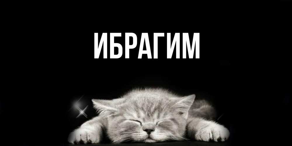 Открытка на каждый день с именем, Ибрагим Главная спящий котик Прикольная открытка с пожеланием онлайн скачать бесплатно 