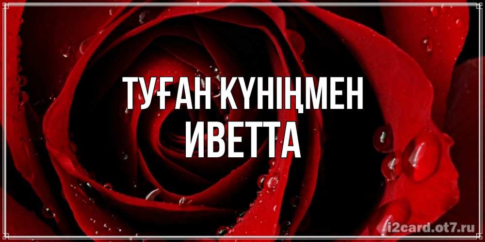 Открытка на каждый день с именем, Иветта Туған күніңмен крупная бордовая роза Прикольная открытка с пожеланием онлайн скачать бесплатно 