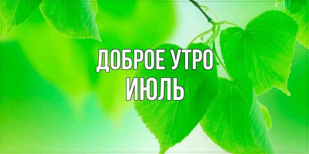 Открытка на каждый день с именем, Июль Доброе утро доброе утро с березовыми листьями Прикольная открытка с пожеланием онлайн скачать бесплатно 