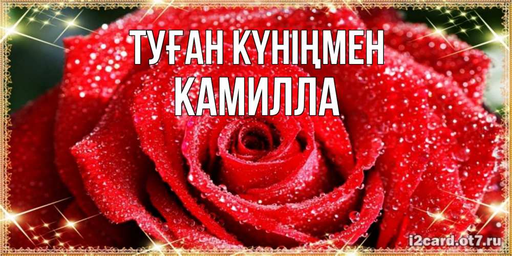 Открытка на каждый день с именем, Камилла Туған күніңмен роса и роза. открытка с красивой розой Прикольная открытка с пожеланием онлайн скачать бесплатно 