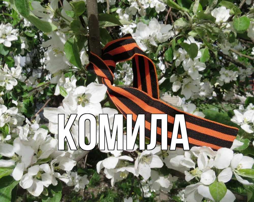 Открытка на каждый день с именем, Комила Главная 9 мая Прикольная открытка с пожеланием онлайн скачать бесплатно 