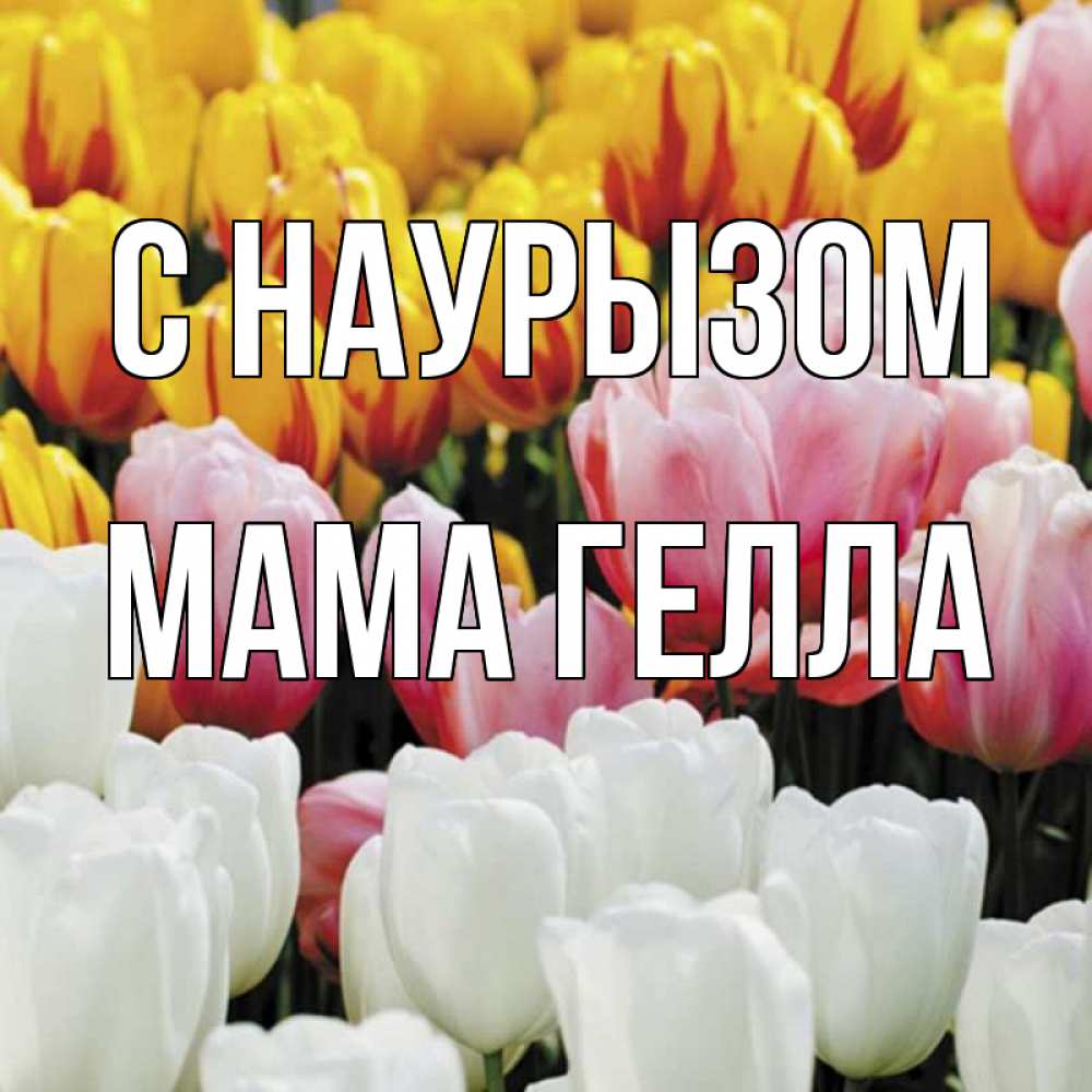 Открытка на каждый день с именем, Мама-Гелла С наурызом разноцветные цветы Прикольная открытка с пожеланием онлайн скачать бесплатно 