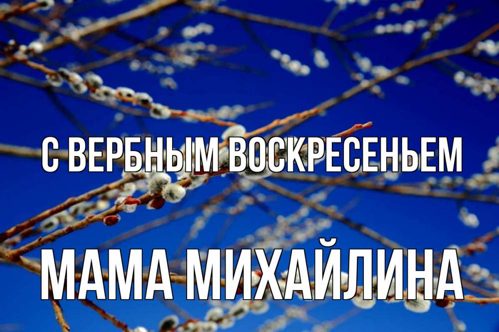 Открытка на каждый день с именем, Мама-Михайлина С вербным воскресеньем верба Прикольная открытка с пожеланием онлайн скачать бесплатно 