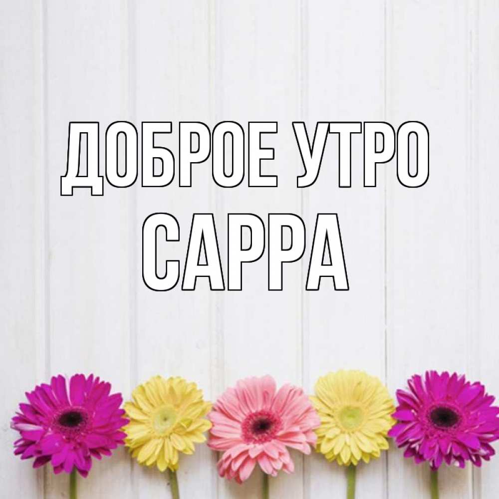 Открытка на каждый день с именем, Сарра Доброе утро красный желтый и розовый цветок Прикольная открытка с пожеланием онлайн скачать бесплатно 