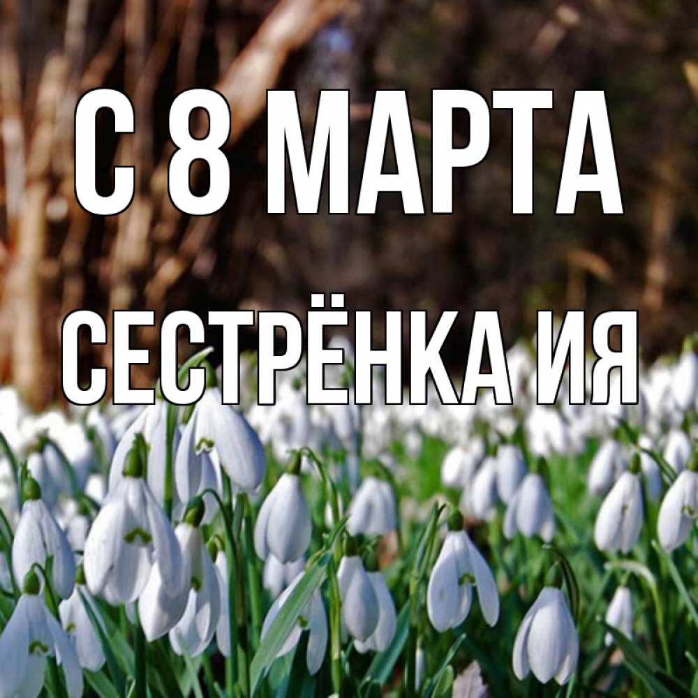 Открытка на каждый день с именем, Сестрёнка-Ия С 8 МАРТА с подснежниками 1 Прикольная открытка с пожеланием онлайн скачать бесплатно 