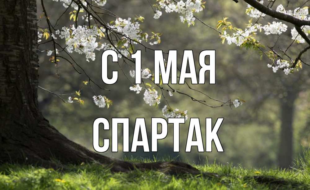 Открытка на каждый день с именем, Спартак С 1 мая С 1 мая Прикольная открытка с пожеланием онлайн скачать бесплатно 