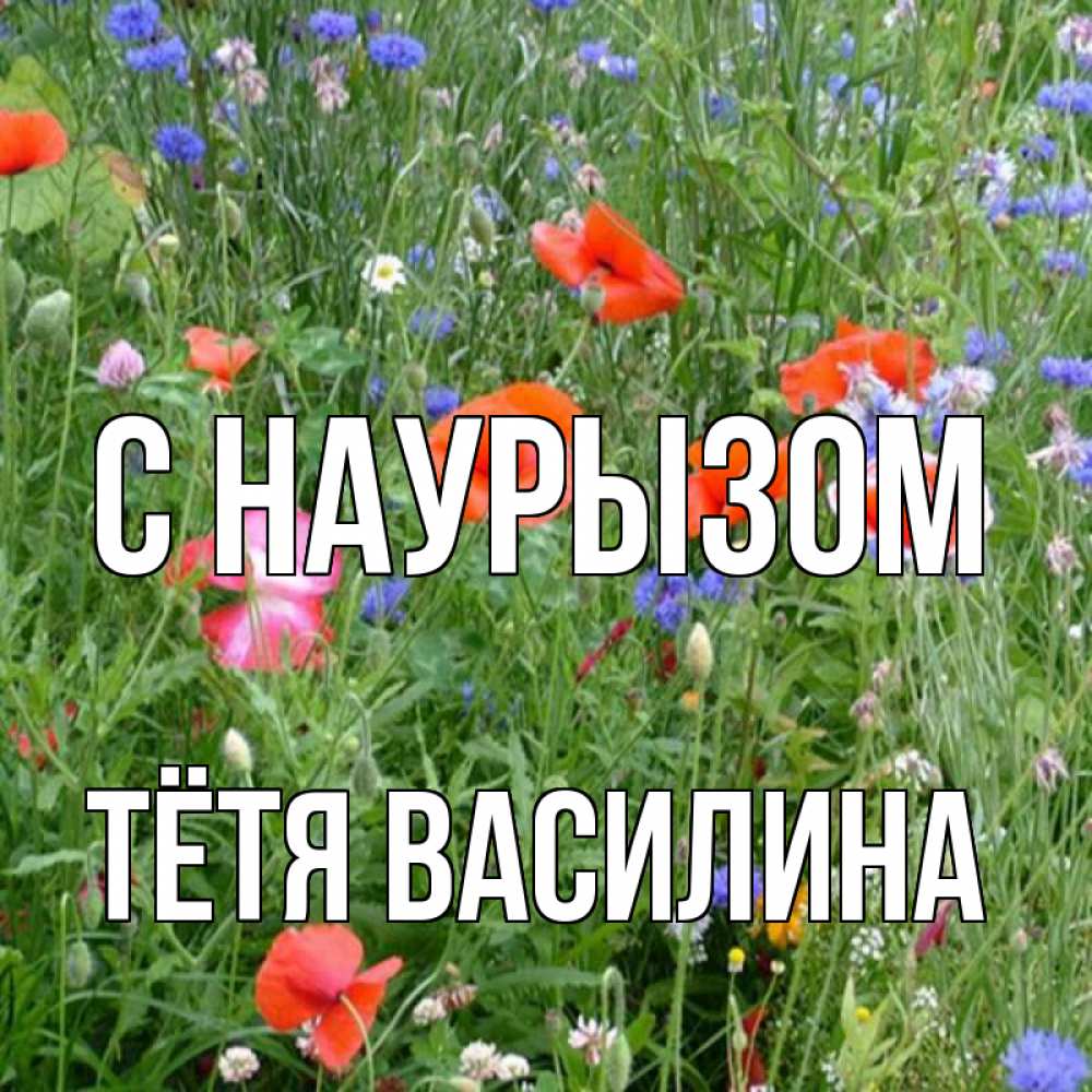 Открытка на каждый день с именем, Тётя-Василина С наурызом праздник весны наурыз супер открытка Прикольная открытка с пожеланием онлайн скачать бесплатно 