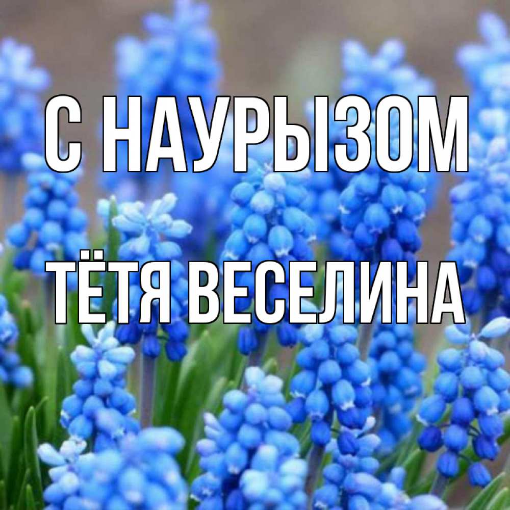 Открытка на каждый день с именем, Тётя-Веселина С наурызом Поздравительная открытка для женщин с цветами на праздничную дату Прикольная открытка с пожеланием онлайн скачать бесплатно 