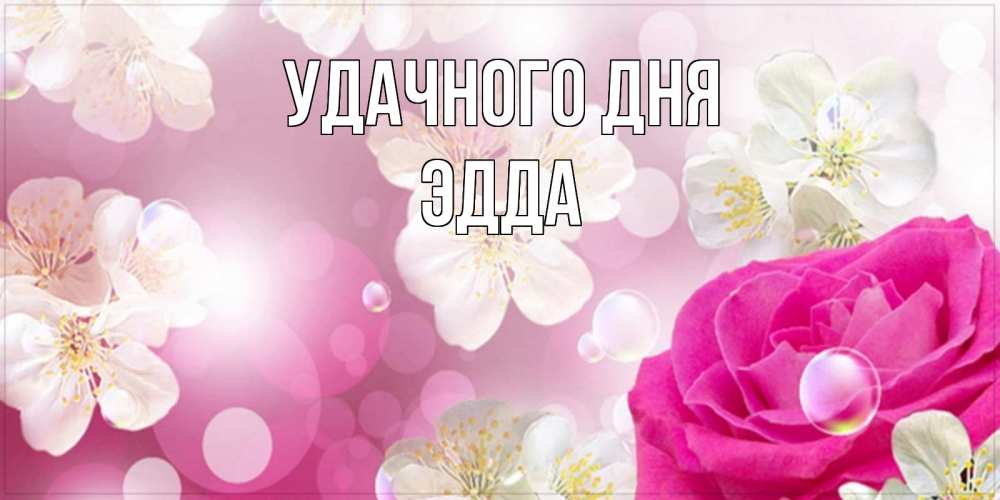 Открытка на каждый день с именем, Эдда Удачного дня красивые цветы Прикольная открытка с пожеланием онлайн скачать бесплатно 