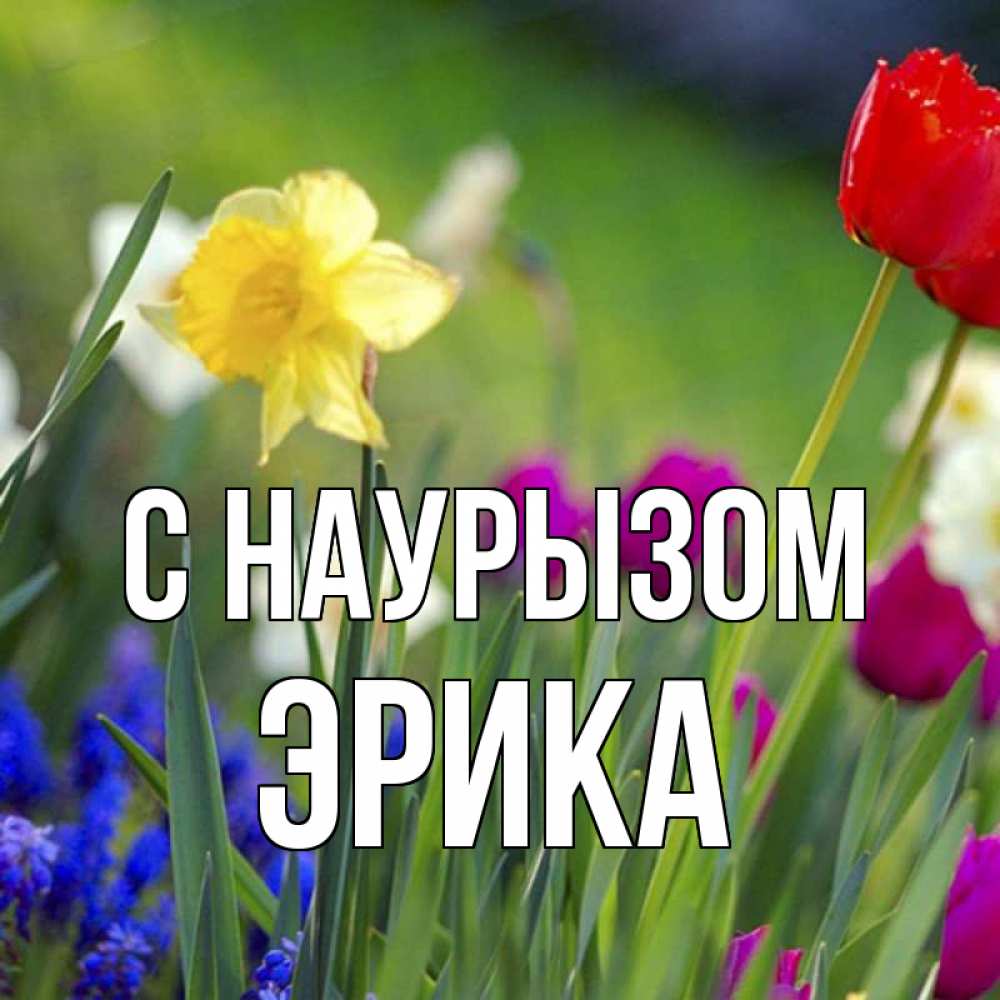 Открытка на каждый день с именем, Эрика С наурызом праздник весны наурыз 3 Прикольная открытка с пожеланием онлайн скачать бесплатно 