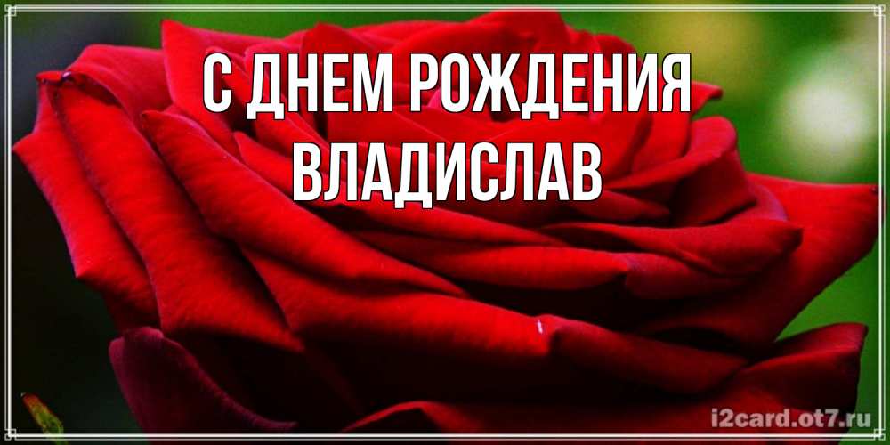 Открытка на каждый день с именем, владислав С днем рождения розочка очень красивая Прикольная открытка с пожеланием онлайн скачать бесплатно 