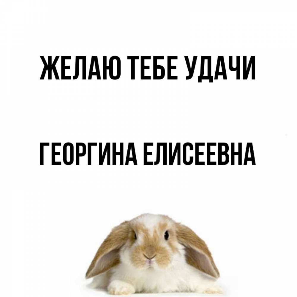 Открытка с именем, Георгина Елисеевна, Желаю тебе удачи