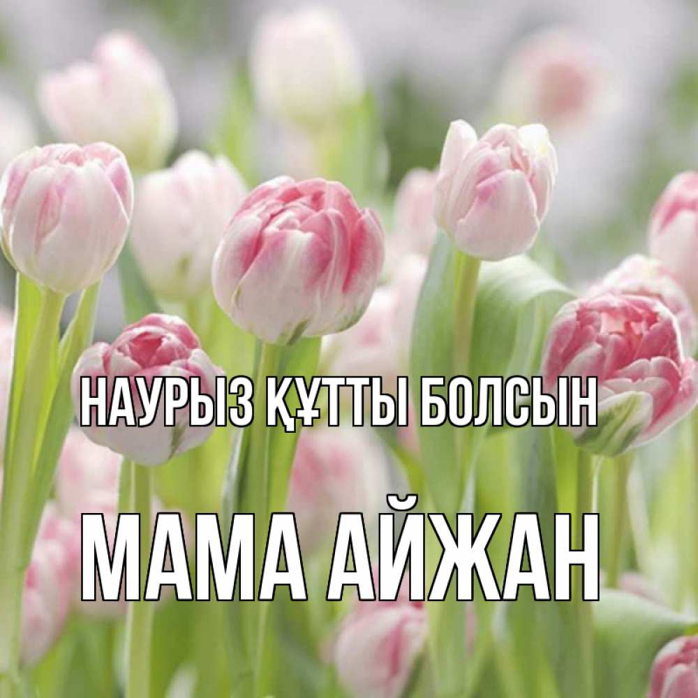 Открытка на каждый день с именем, Мама-Айжан Наурыз құтты болсын цветы Прикольная открытка с пожеланием онлайн скачать бесплатно 
