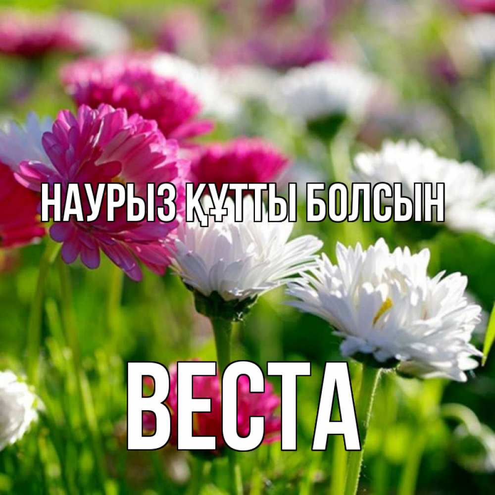Открытка на каждый день с именем, Веста Наурыз құтты болсын наурыз Прикольная открытка с пожеланием онлайн скачать бесплатно 