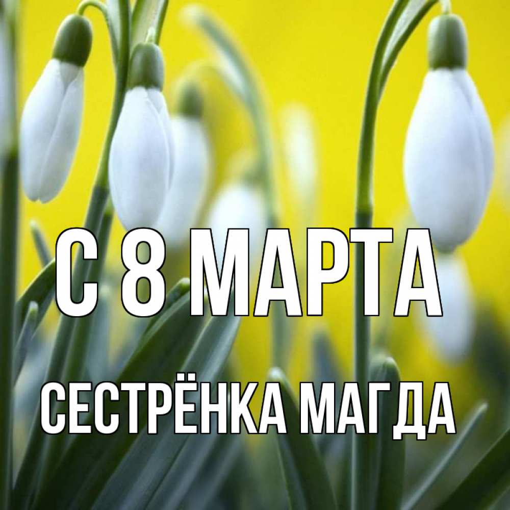 Картинка С 8 МАРТА, Сестрёнка Магда