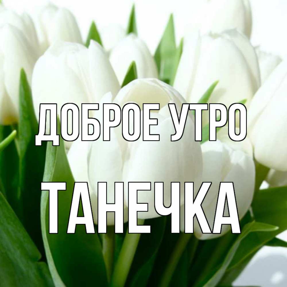 Картинка Доброе утро, Танечка