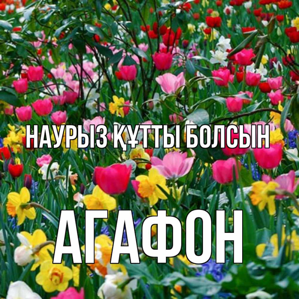 Открытка на каждый день с именем, Агафон Наурыз құтты болсын с наурызом поздравления для женщины Прикольная открытка с пожеланием онлайн скачать бесплатно 
