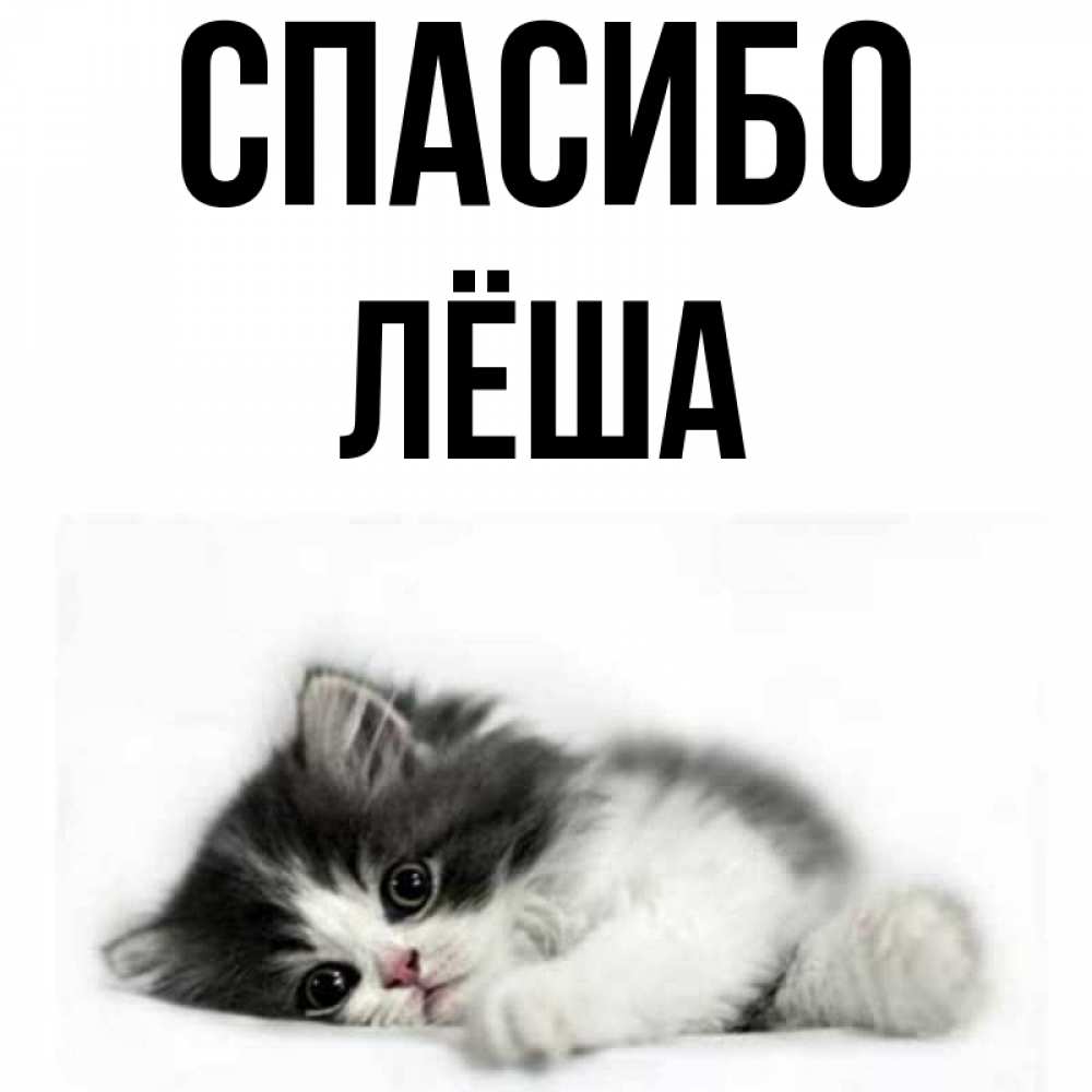 Картинки с именем леха