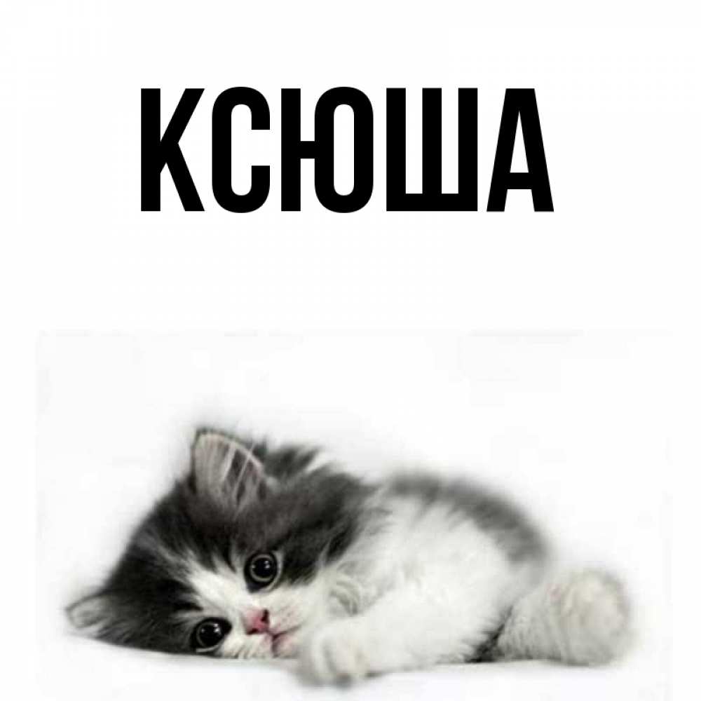Ксюша картинки красивые