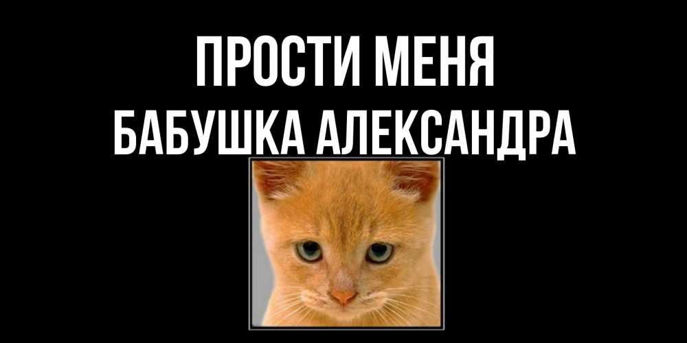 Открытка на каждый день с именем, Бабушка-Александра Прости меня рыжий грустный кот просит прощения Прикольная открытка с пожеланием онлайн скачать бесплатно 