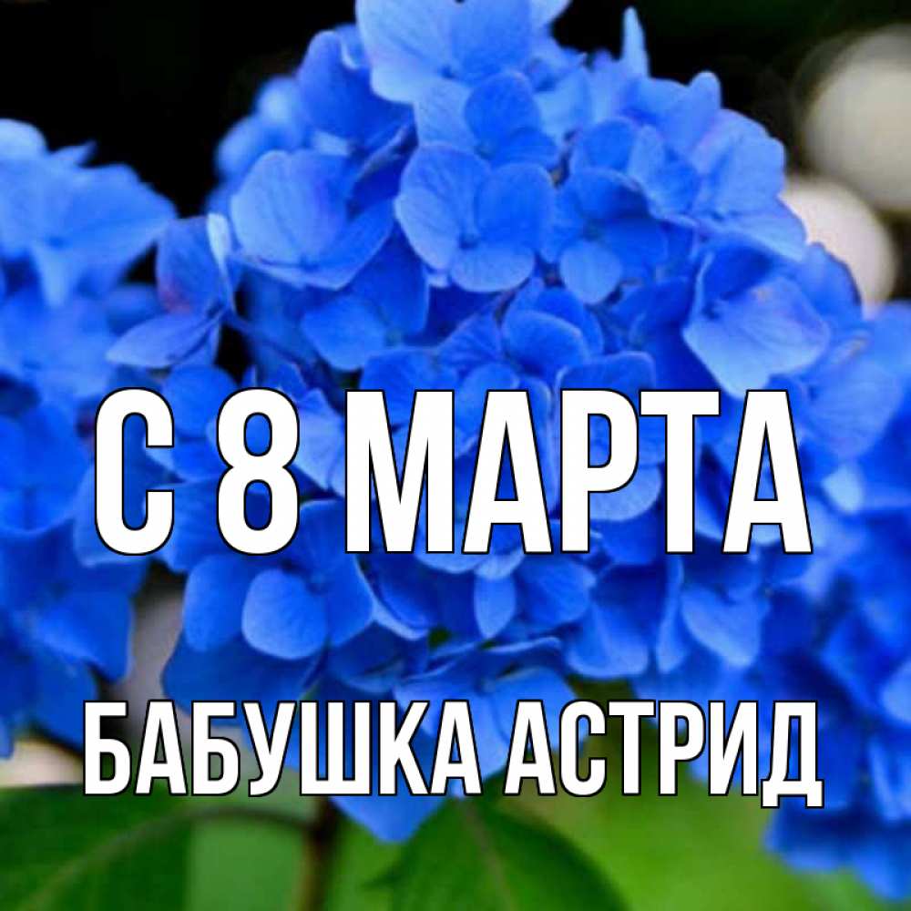 Открытка на каждый день с именем, Бабушка-Астрид С 8 МАРТА синие цветы Прикольная открытка с пожеланием онлайн скачать бесплатно 