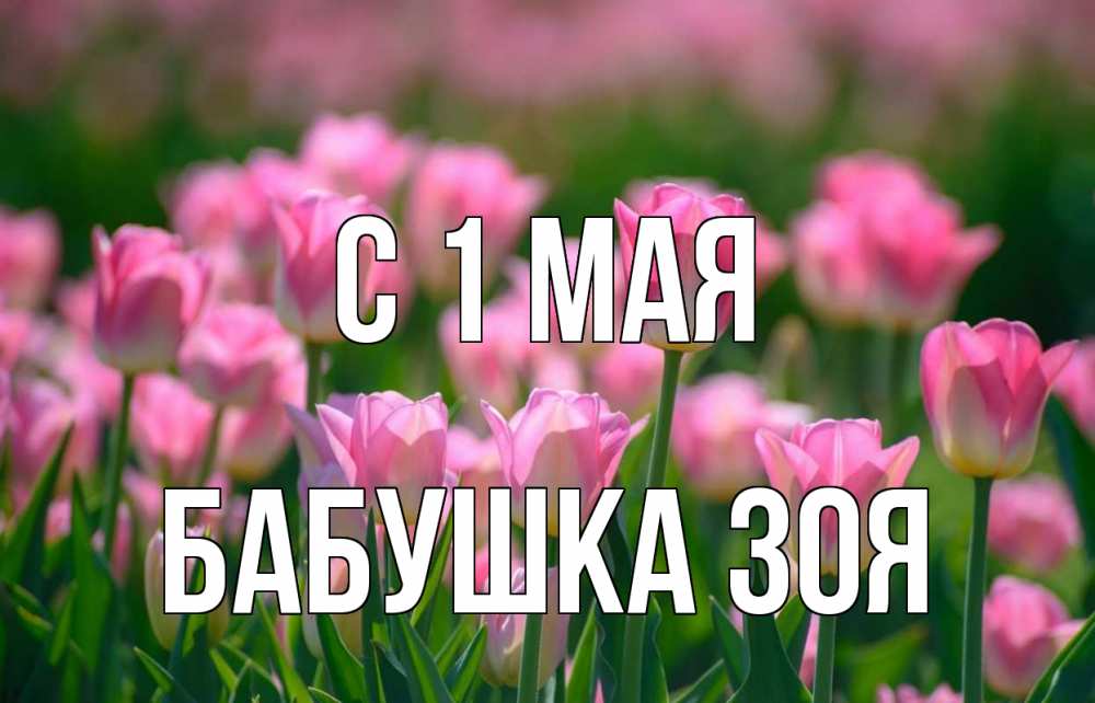 Открытка на каждый день с именем, Бабушка-Зоя С 1 мая С 1 мая Прикольная открытка с пожеланием онлайн скачать бесплатно 