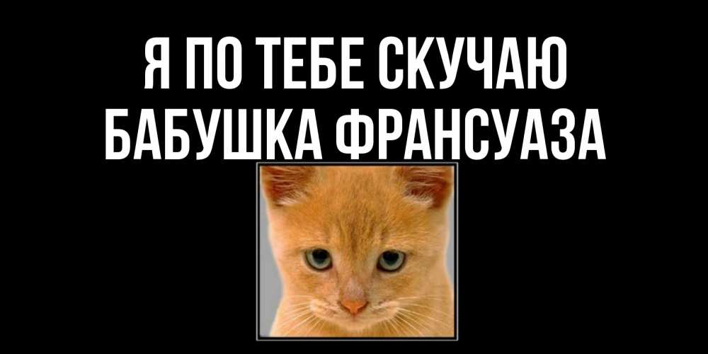 Открытка на каждый день с именем, Бабушка-Франсуаза Я по тебе скучаю открытки рыжий котенок скучает по тебе Прикольная открытка с пожеланием онлайн скачать бесплатно 