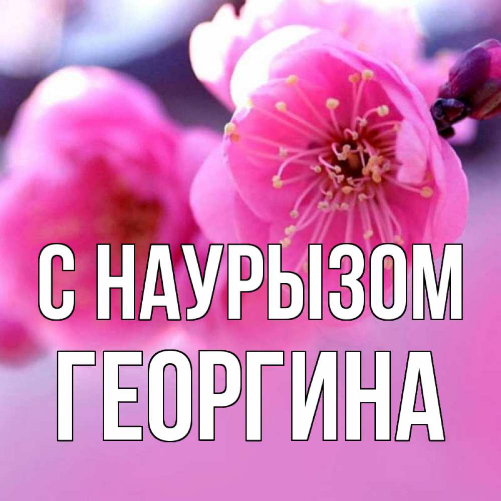 Открытка на каждый день с именем, Георгина С наурызом международный женский день Прикольная открытка с пожеланием онлайн скачать бесплатно 