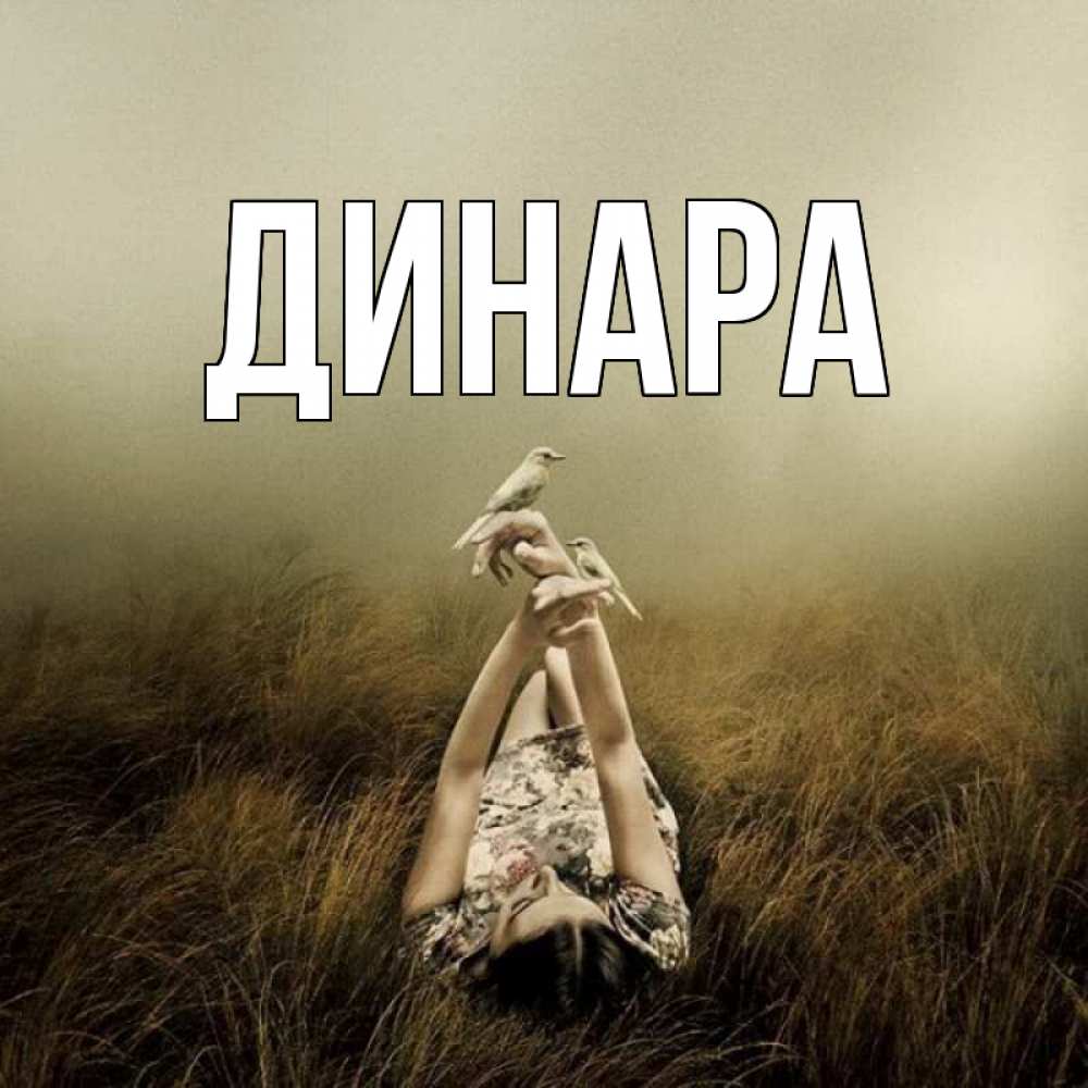 Открытка на каждый день с именем, Динара Главная поле и туман Прикольная открытка с пожеланием онлайн скачать бесплатно 