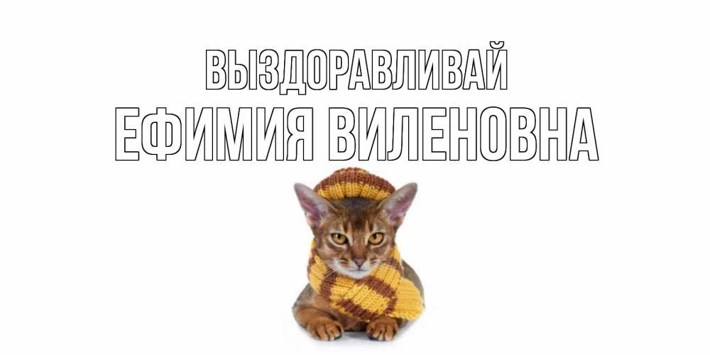Открытка на каждый день с именем, Ефимия-Виленовна Выздоравливай родные не болейте Прикольная открытка с пожеланием онлайн скачать бесплатно 