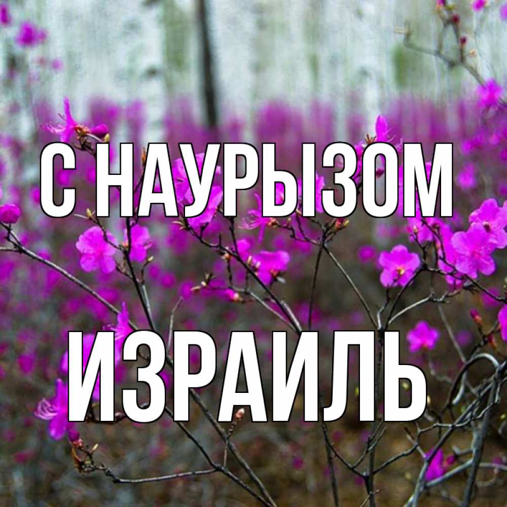 Открытка на каждый день с именем, Израиль С наурызом дикие цветы Прикольная открытка с пожеланием онлайн скачать бесплатно 