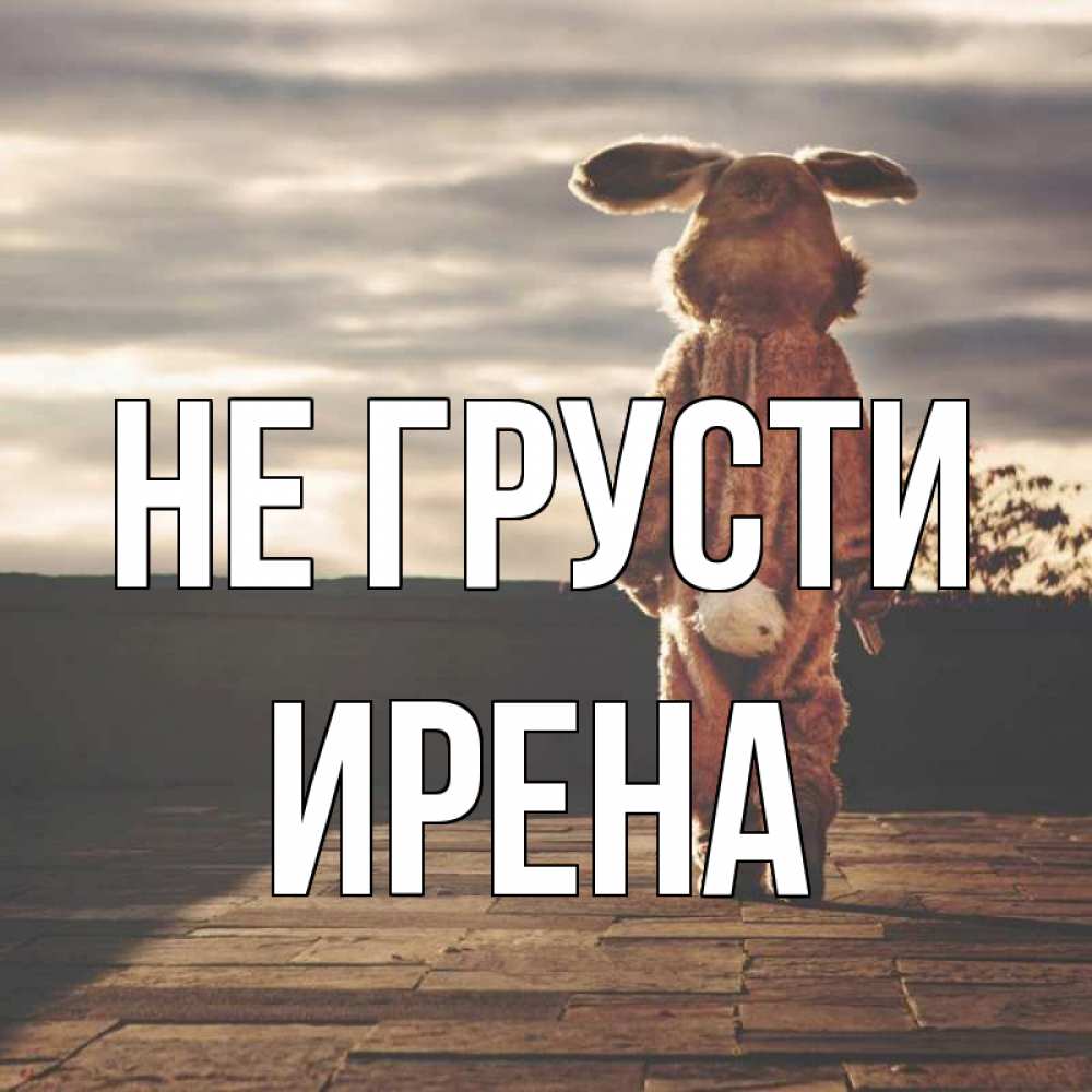 Открытка на каждый день с именем, Ирена Не грусти со спины Прикольная открытка с пожеланием онлайн скачать бесплатно 