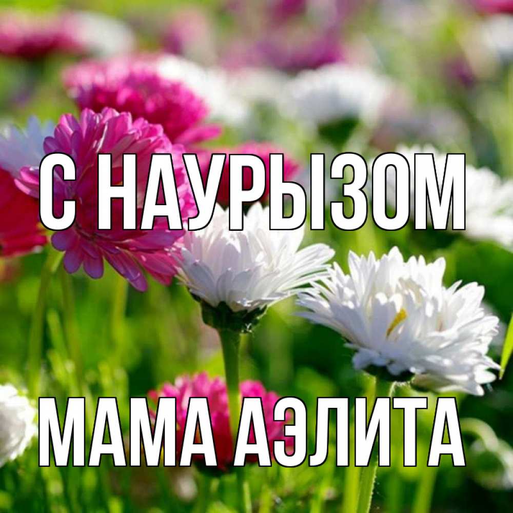 Открытка на каждый день с именем, Мама-Аэлита С наурызом праздник весны наурыз красота Прикольная открытка с пожеланием онлайн скачать бесплатно 